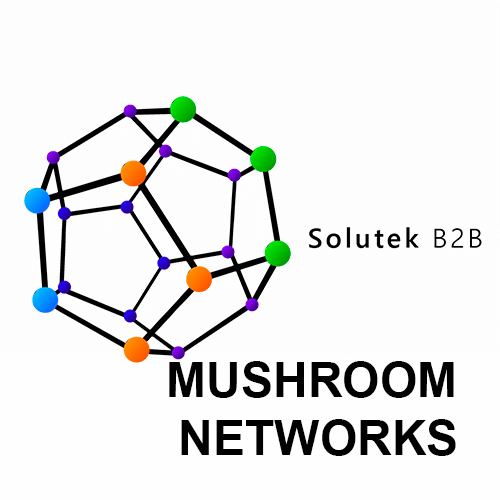 Configuración de firewalls Mushroom Networks