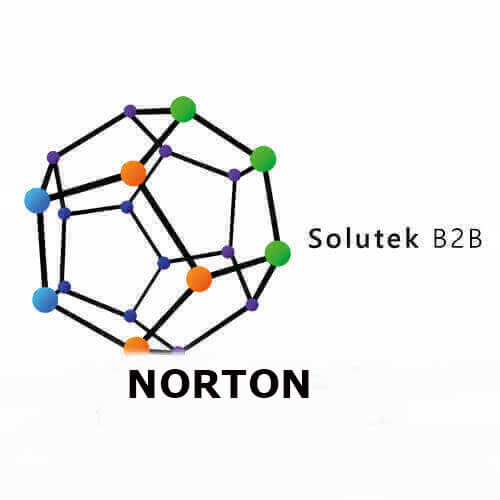 Soporte técnico de antivirus Norton
